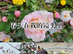 -云洞岩风景区