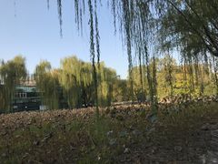 -莲湖公园