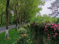 -天目湖涵田度假村