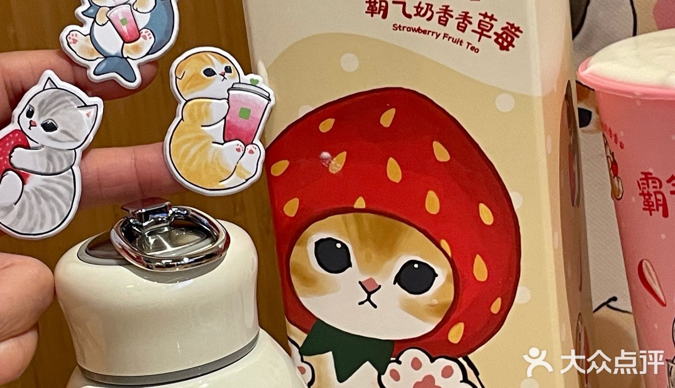 奈雪✖鲨鱼猫！要被奈雪毛孩子萌化了