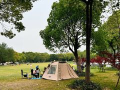 -吴淞炮台湾湿地森林公园烧烤区