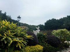 -金鸡山公园