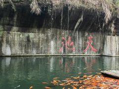 -千岛湖东南湖区