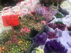 -溪岸路花鸟市场