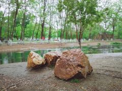 -长白岛森林公园