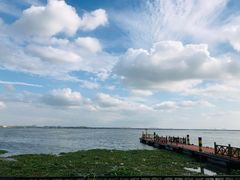 -七的湖·晚芳亭·阳澄湖农家菜·大闸蟹(莲花岛店)