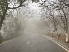 -岳麓山风景名胜区