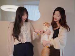 -More Fun猫咖 二十只万元加菲主题