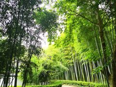 -兰亭风景区