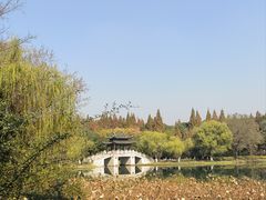 -尚湖风景区