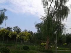 -武清南湖绿博园