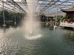 -九天休闲谷