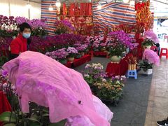 -朝陽市場