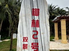 -东郊椰林