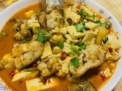 -煲来饱去冷水鱼