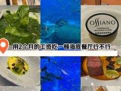 -亚特兰蒂斯•OSSIANO奥西亚诺海底餐厅