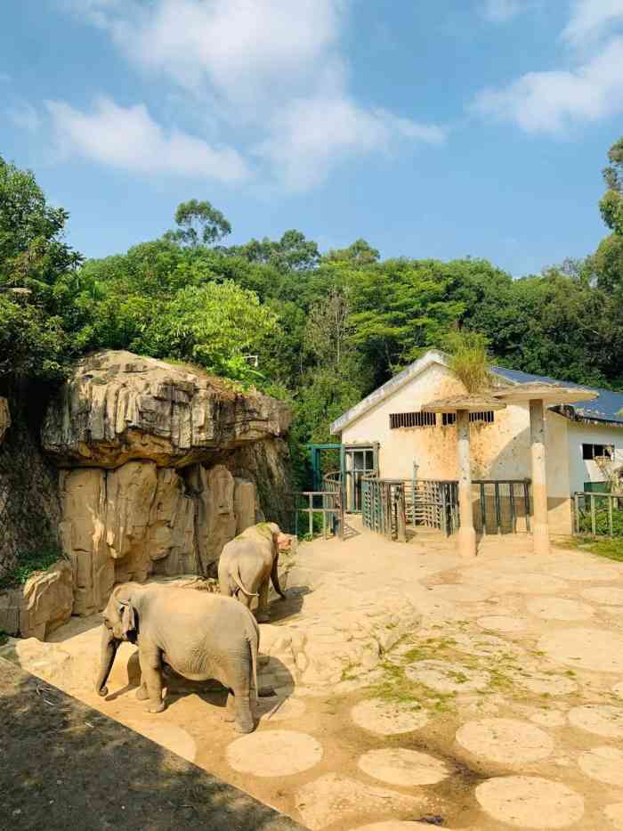 打分 小福州的动物园,建在一座小山上,来玩得爬山,还挺累的.