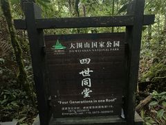 -云南屏边大围山国家公园