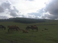 -塞罕坝国家级自然保护区