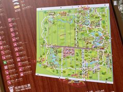 -东平国家森林公园