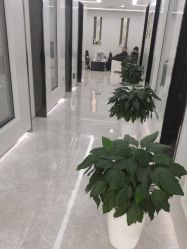 -悟空祛痘·诺奖技术专业店