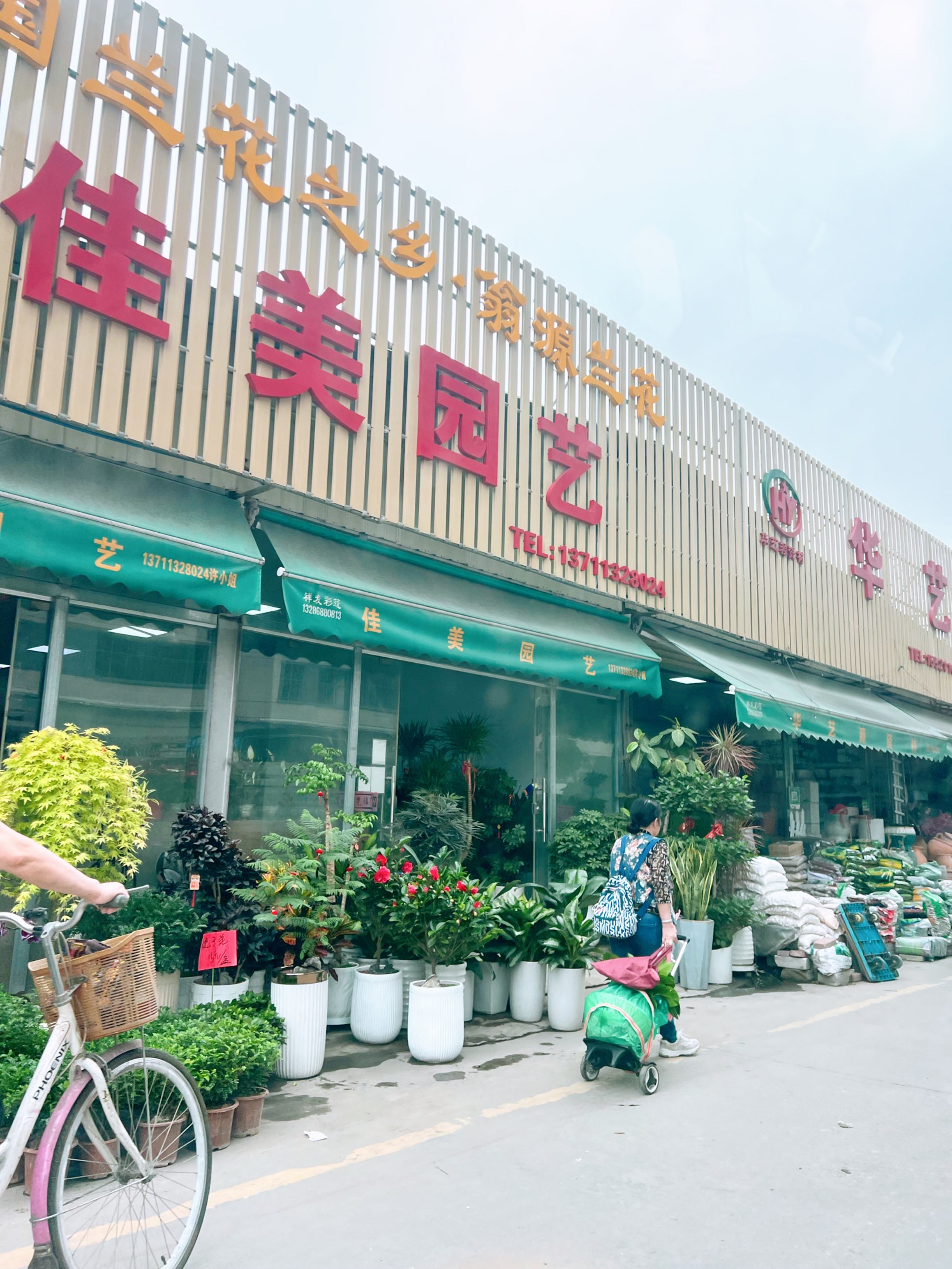 广州最大的花卉市场,我来啦