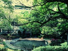 -香港大学