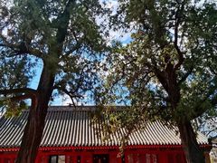 -红螺寺