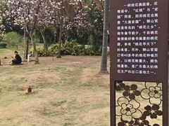 -南国桃园旅游度假区