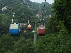 -王顺山国家森林公园