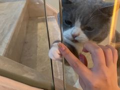 -Catmate·猫肥家润(金润铂宫店)