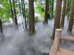 -东湖落雁景区