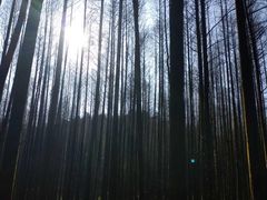 -山王坪喀斯特国家生态公园