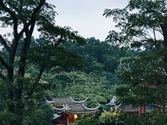 -顺峰山公园