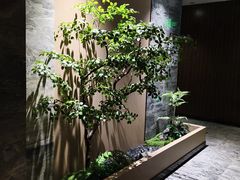 -畅想汤泉生活(民治店)