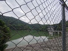 -东莞市大岭山森林公园