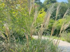 -昆山城市生态森林公园