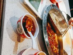 -大龙燚·旷野鲜火锅(广州首店)