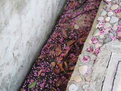 -南京市江宁方山