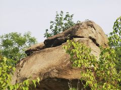 -白水寺森林公园