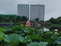-西海子公园