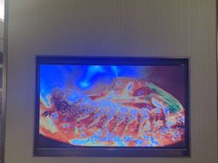 -阿五黄河大鲤鱼(纬三路店)