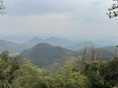 -莫干山风景区
