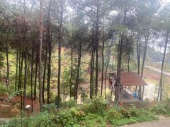 -客乐得玉峰山房车营地