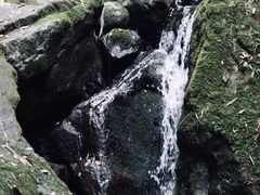 -藏龙百瀑风景区