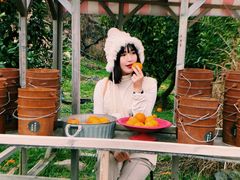 -柑橘农场