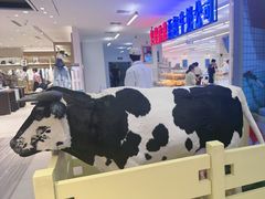 -红星前进面包牛奶公司(君太店)