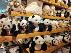 -番茄口袋(上海普陀区环球港店)