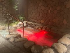 -漢頓温泉度假酒店