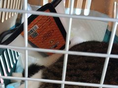 -心仪动物医院·牙专科·肿瘤·心脏科(西客站院)